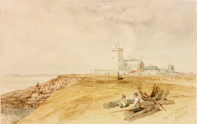 Coquet Island von Myles Birket Foster